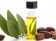 jojoba oil benefits