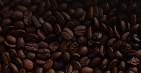 where to buy coffee beans in singapore